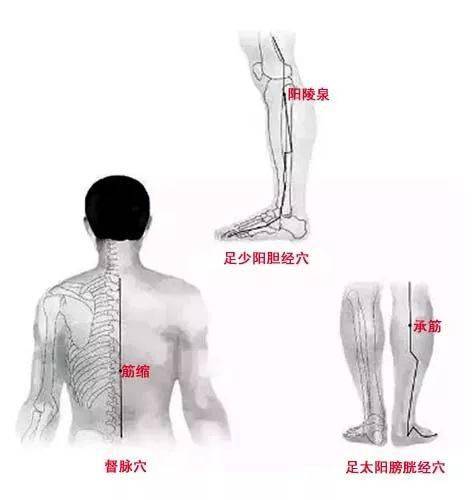 天筋在什么位置图片图片