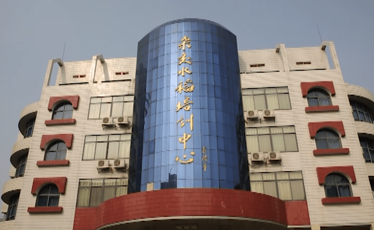 奥力给得奖啦武义县融媒体中心摄制的专题片斩获省级大奖