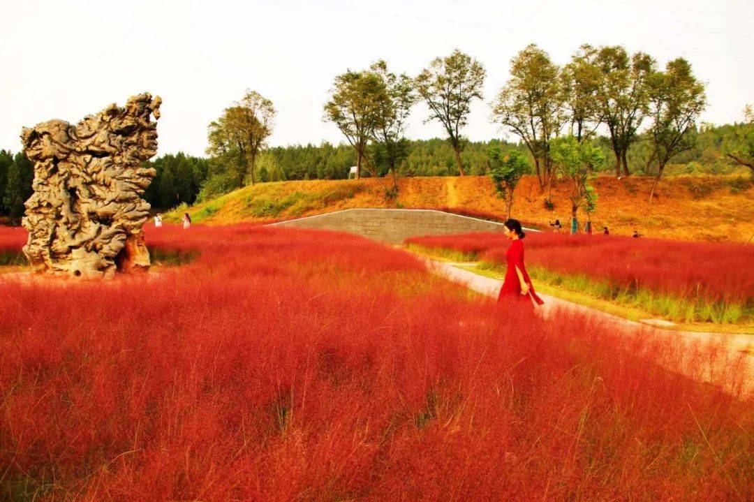 头条运河流新韵名城秋正好来吧游遍四周醉美泗州