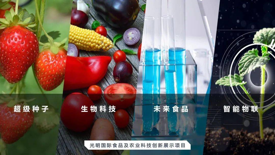 范围覆盖超级种子,生物科技,未来食品和智慧物联等领域,集中展示光明