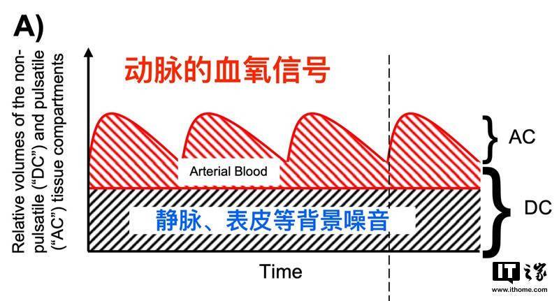 根据文献,我判断绿光可能帮助 apple watch 区分动脉与静脉.