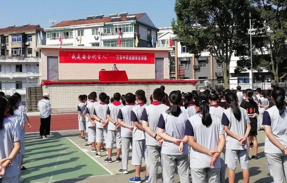 新登镇中心小学图片