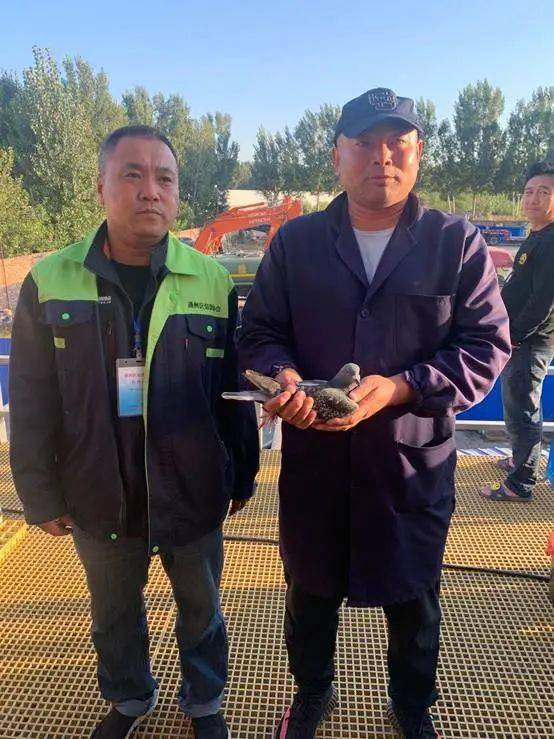 又是黑色周一?北京松山残存75羽 提前结束比赛