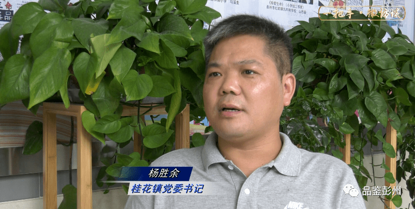 今天我们走进桂花镇对话桂花镇党委书记 杨胜余看桂花