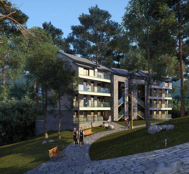 兴宏森林人航空康养中心项目一期公示