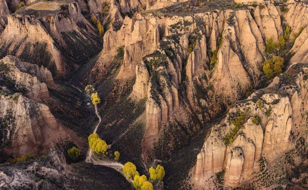 风景这边独好_黄土