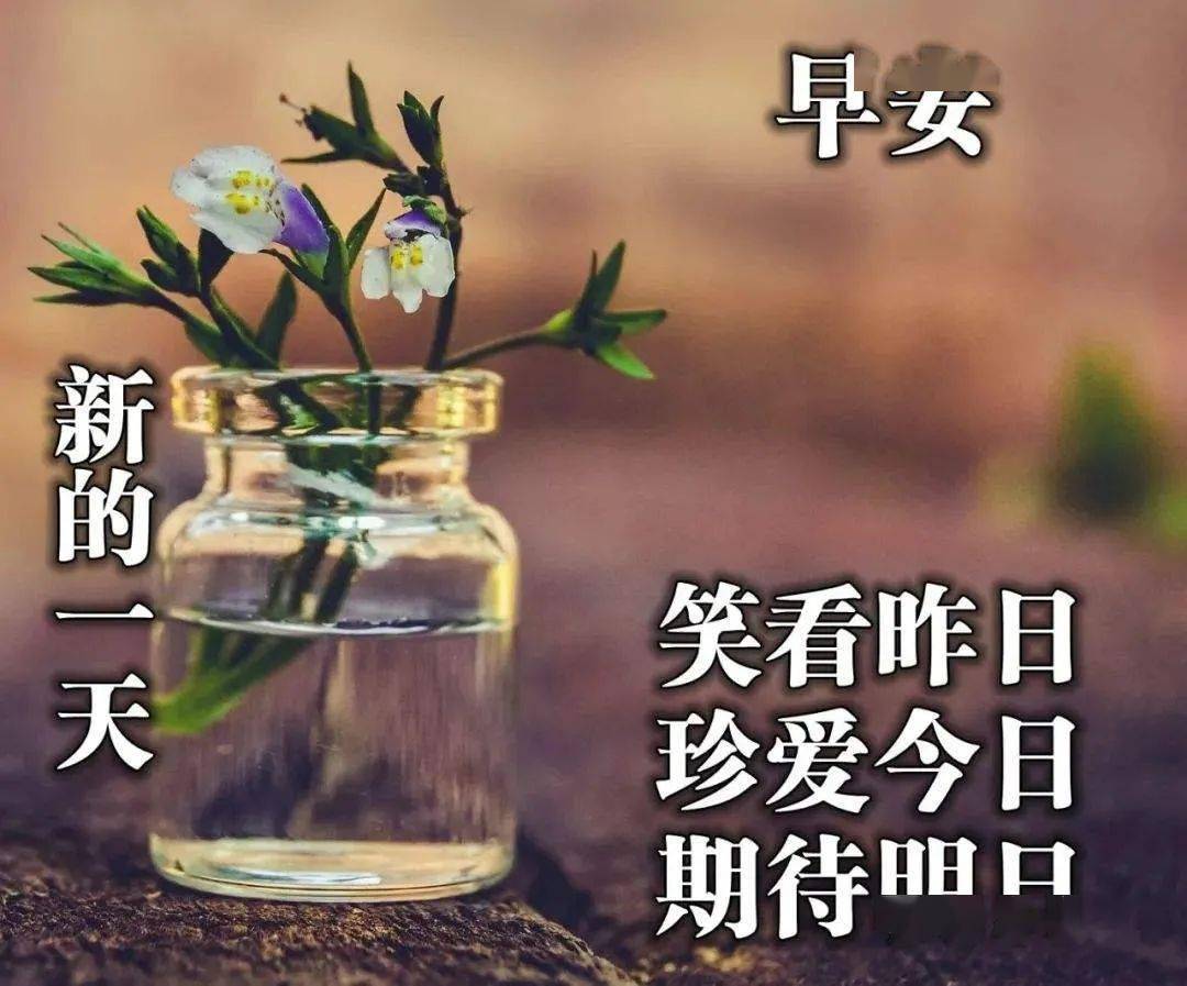 早上好微信問候語表情包祝福早上好文字圖片帶字動態