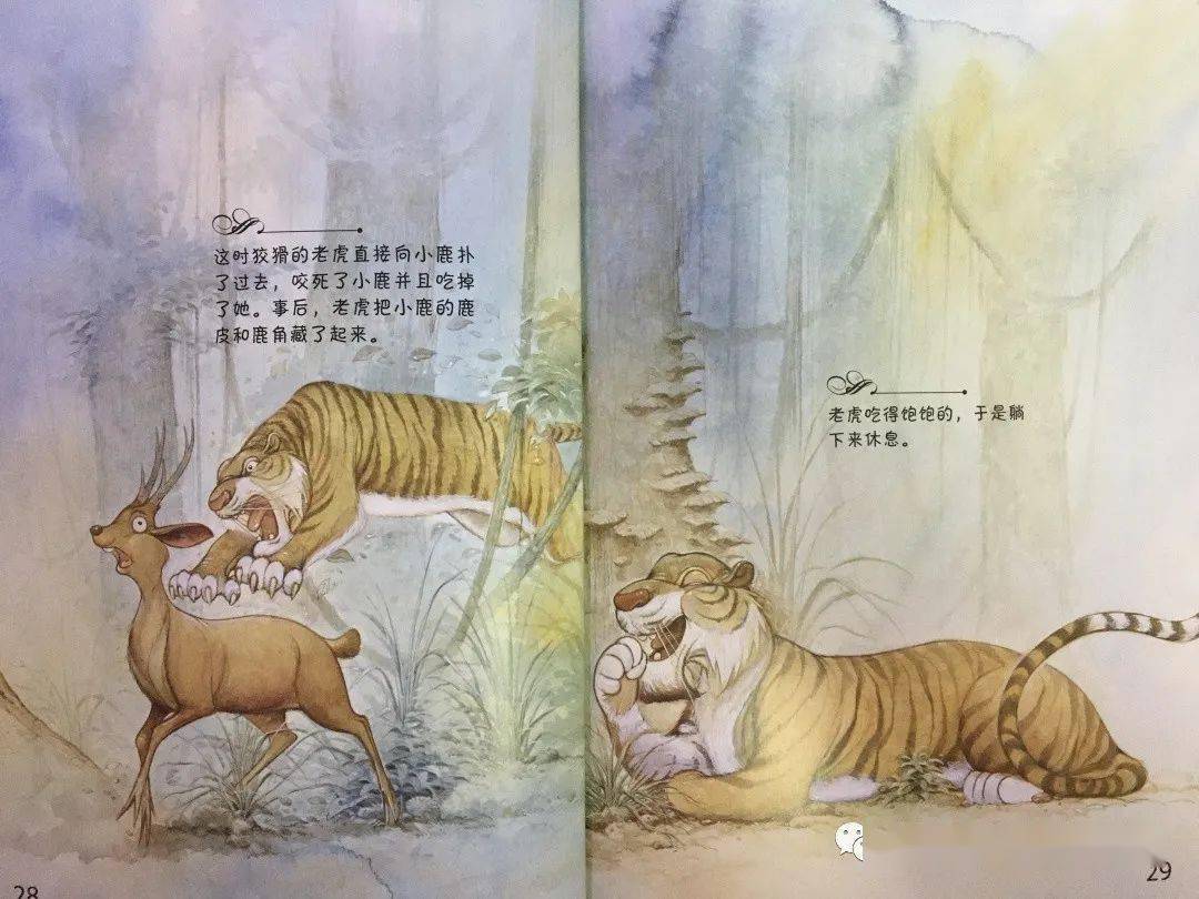 【最美童声】中二班——杨子澄《小鼷鹿智斗老虎》_大象