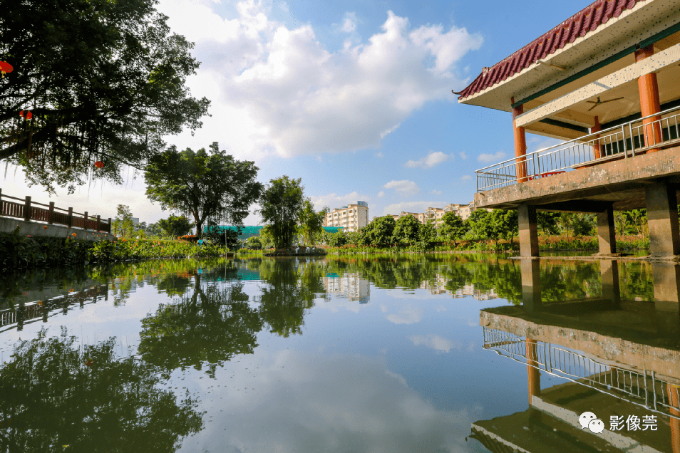 资讯麻涌这条村入选2020年中国美丽休闲乡村