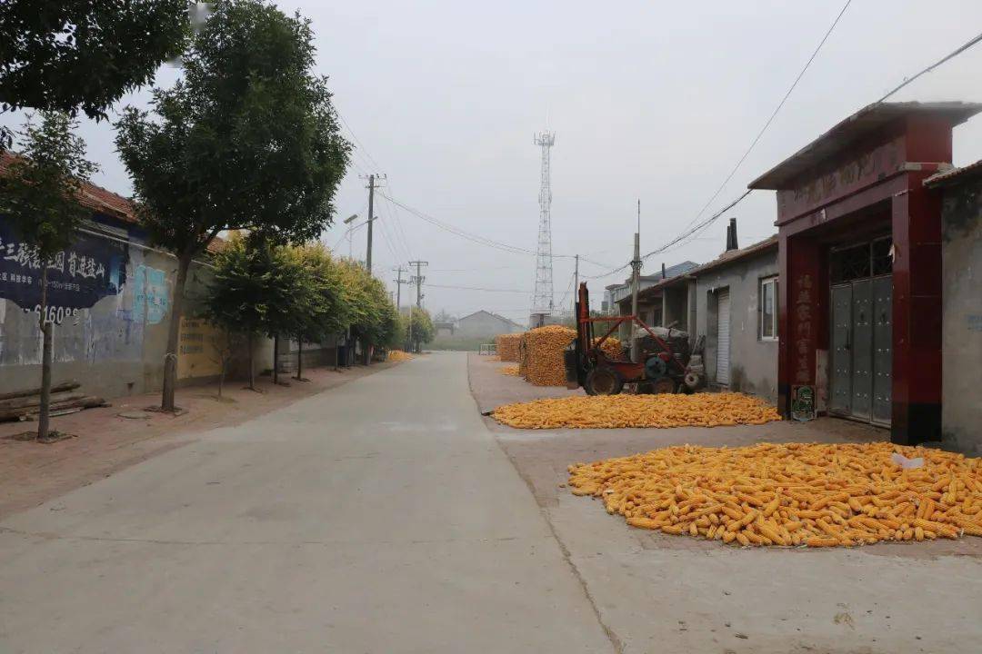 百日攻坚进行时—观摩评比促提升—盐山镇开展人居环境卫生"晨扫描"