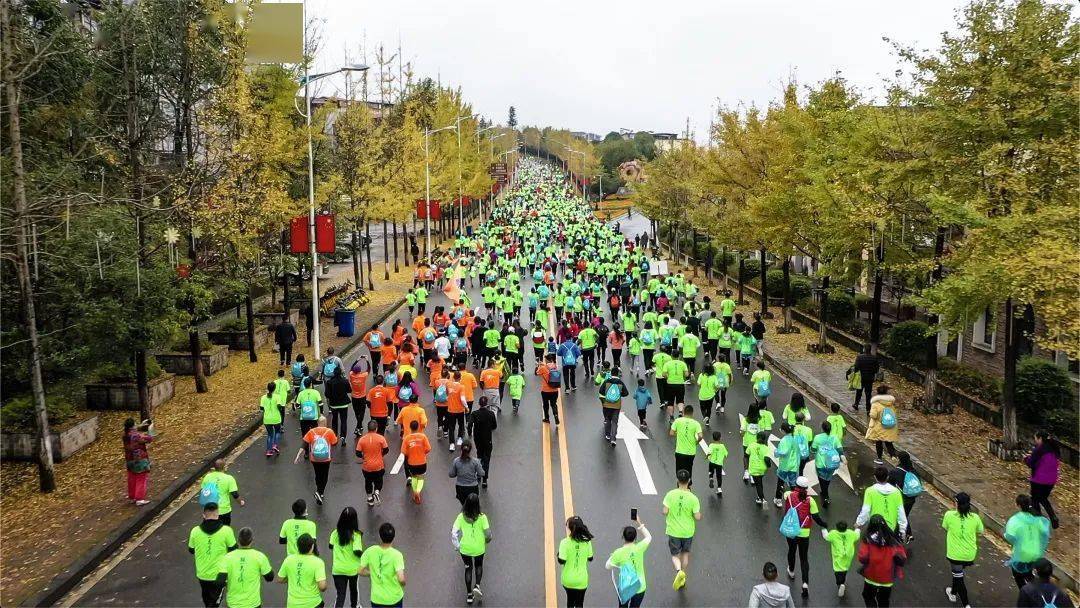一马当仙丨2020重庆·武隆仙女山马拉松活力开跑