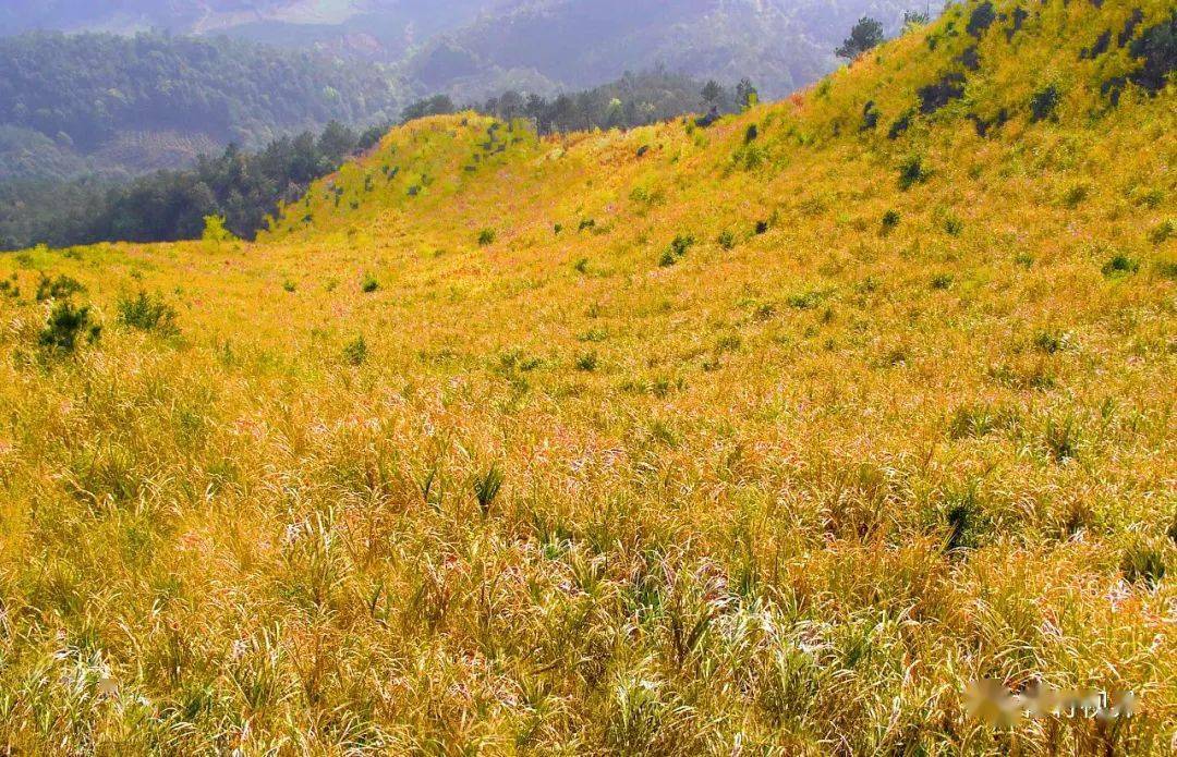 永春天马山看云海观日出