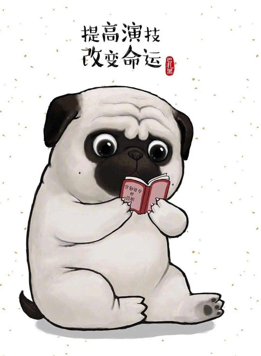 狗狗超萌领养疫情被遗弃的巴扎黑找家