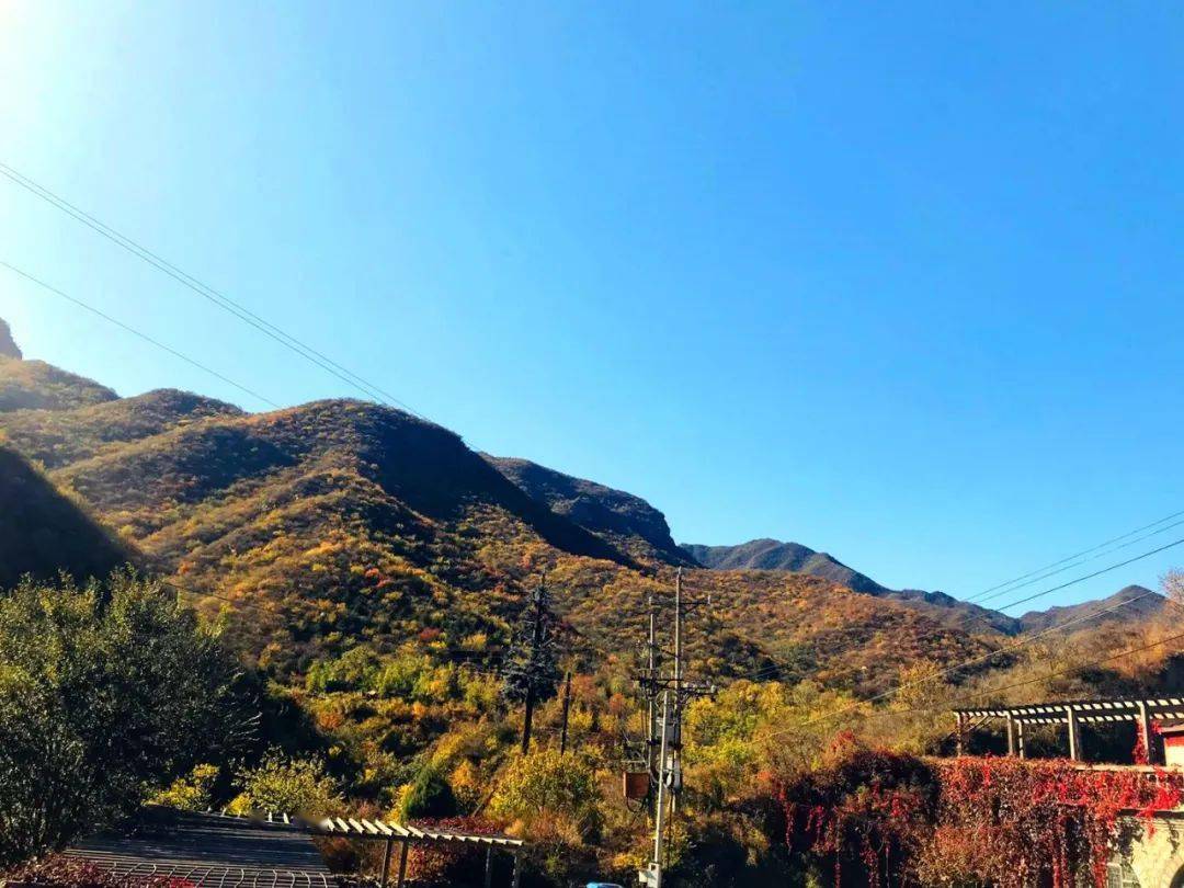 赏秋指南最美的秋最美的神泉峡