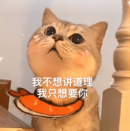 猫咪表情包:你在我心里,占了这么大!_@avacha