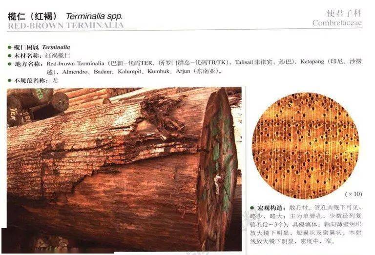 目前销量最大的红木替代用材:柬埔寨黑酸枝(榄仁木)_搜狐汽车_搜狐网