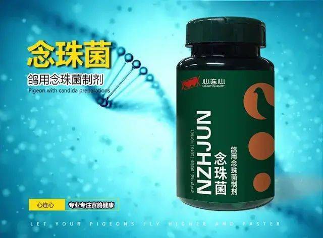 宁夏开拓者首关赛大黑马2号棚总教练张浩