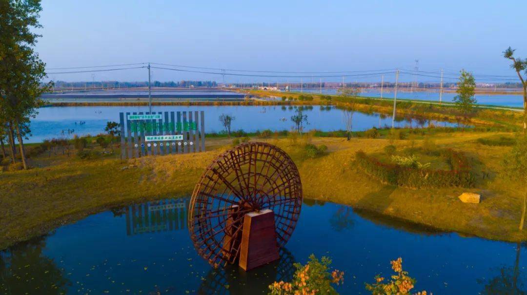 打卡湖滨黄墩亲近大自然生态感受鸟语花香