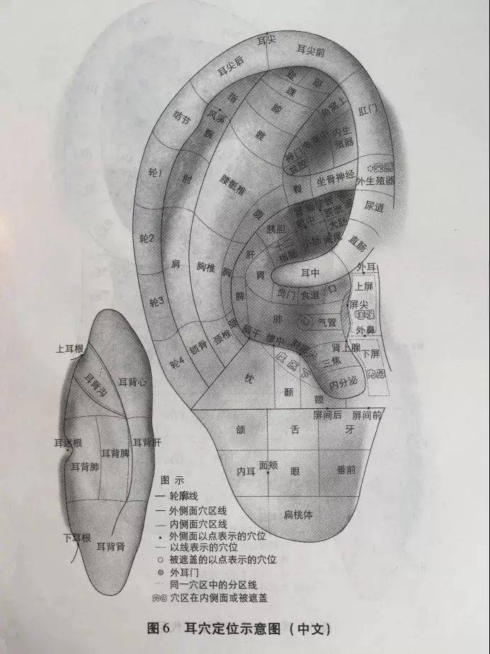 这样按揉耳朵等于给全身做了套养生操