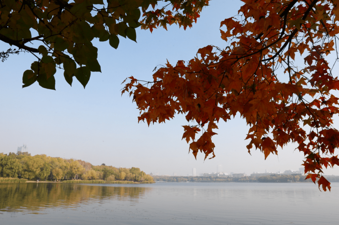 南湖公园秋天的景色图片