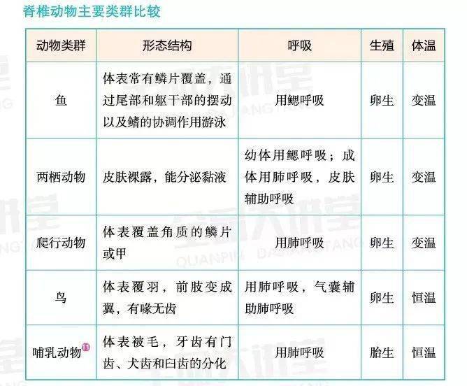 七年级生物动物分类表图片