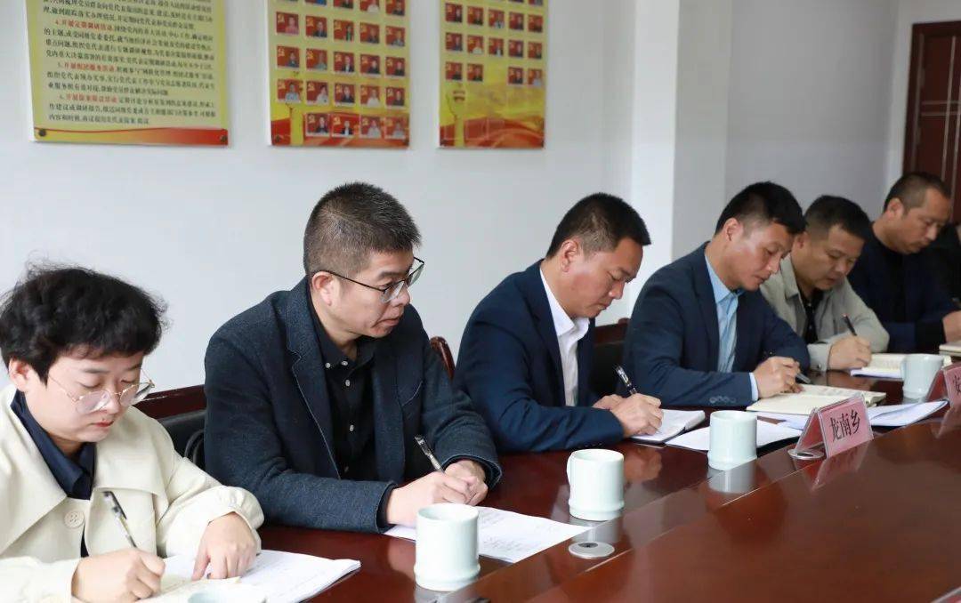龙泉市领导熊勇军,邹海亮参加督导.