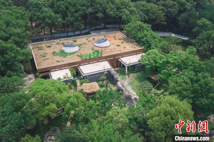 35岁的武汉动物园即将改造 公开征集回忆游故事
