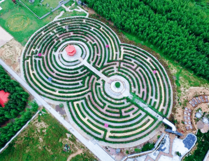 卫闽迷宫小镇中的迷宫,以卫闽00年的特色祈福文化为主题,将植物迷宫