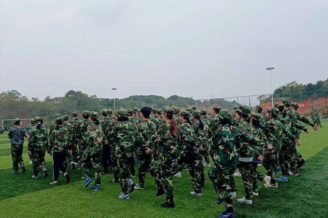 快来瞅瞅校园中的那一抹绿色叭~_军训