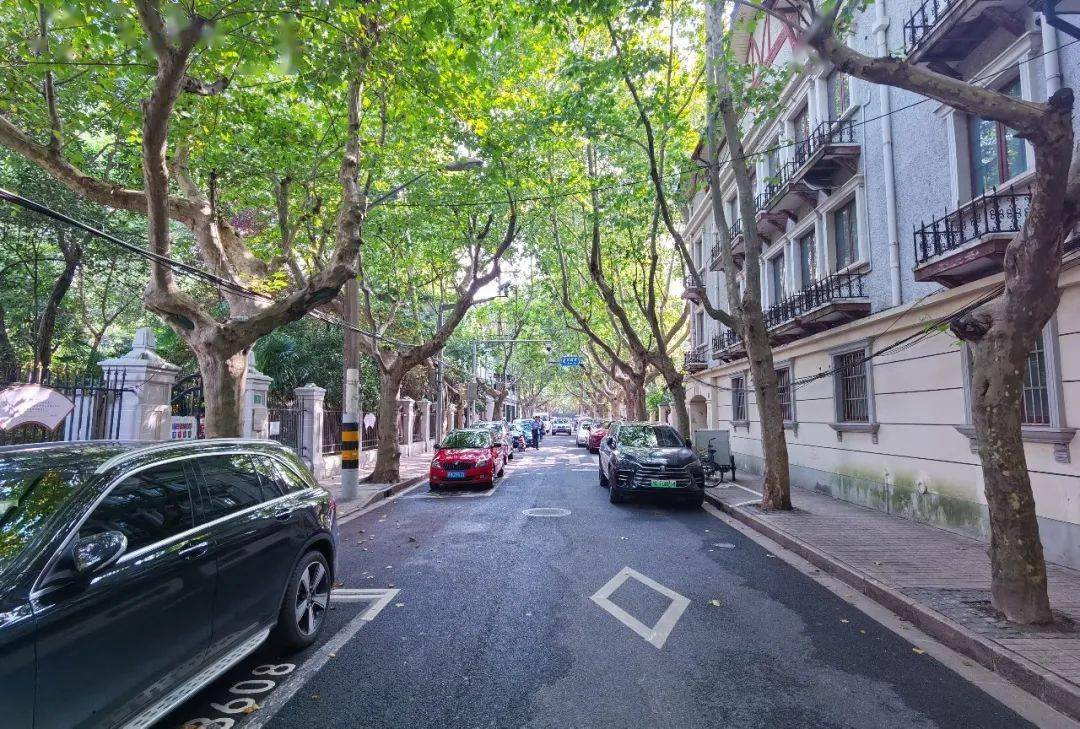 漫步在这里,满目绿色,孙中山故居纪念馆香山路沿线为居住区,周边有