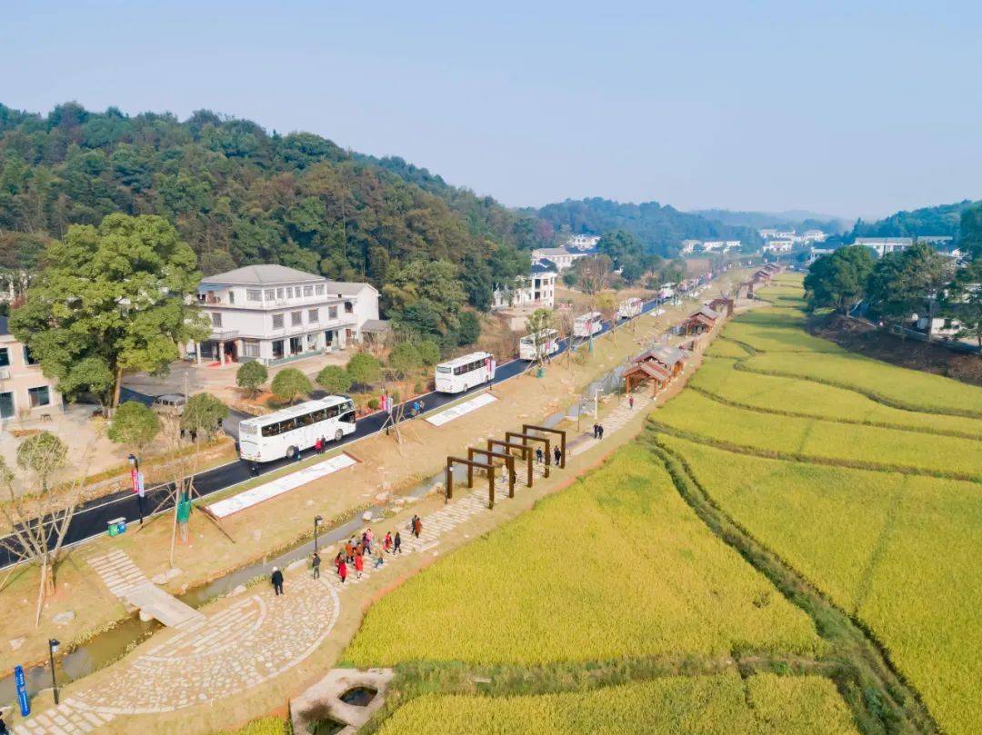 新时代山乡巨变乡村振兴战略提出三周年之际清溪村农旅文融合模式登上