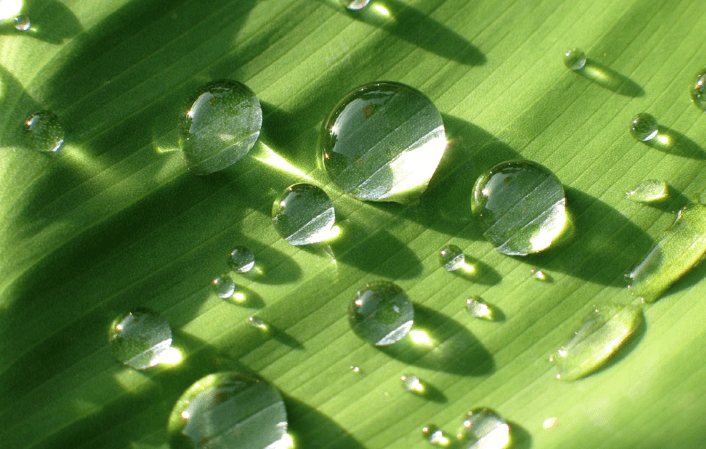 露从今夜白 || 赵阳67