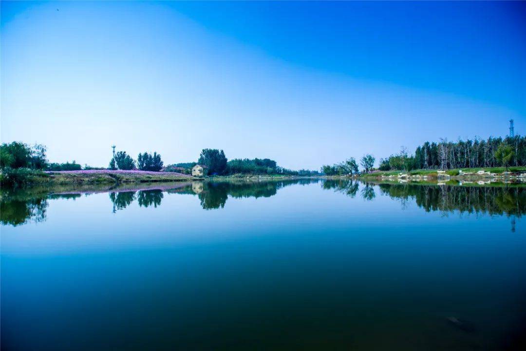 秋天来高青体验三生之美