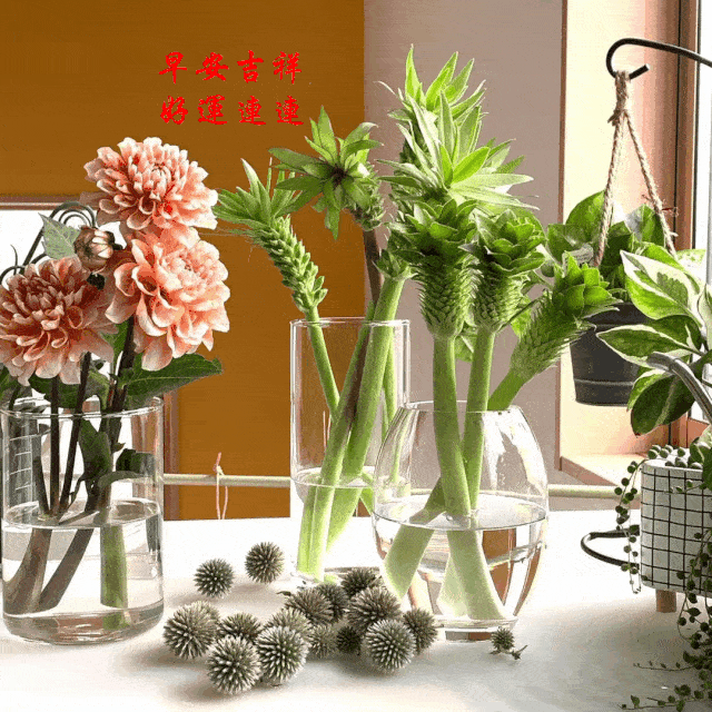 640_640gif 动态图 动图