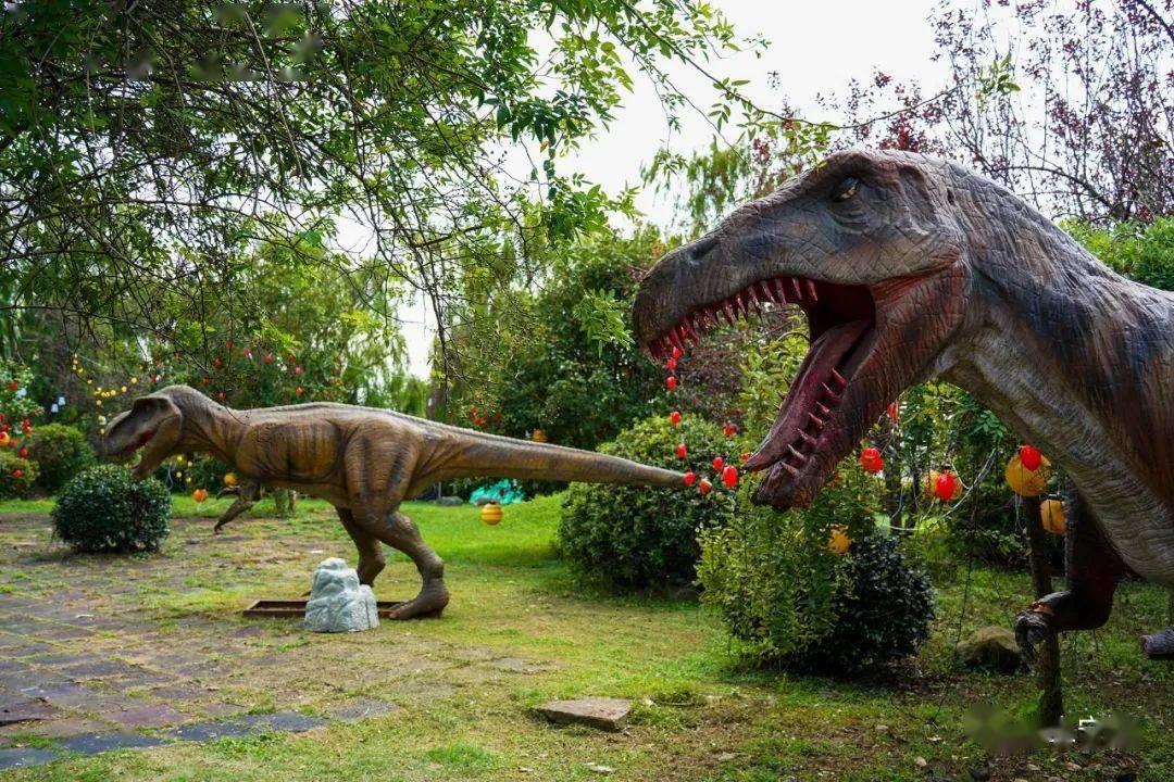 美呆了,欢乐佳田农场