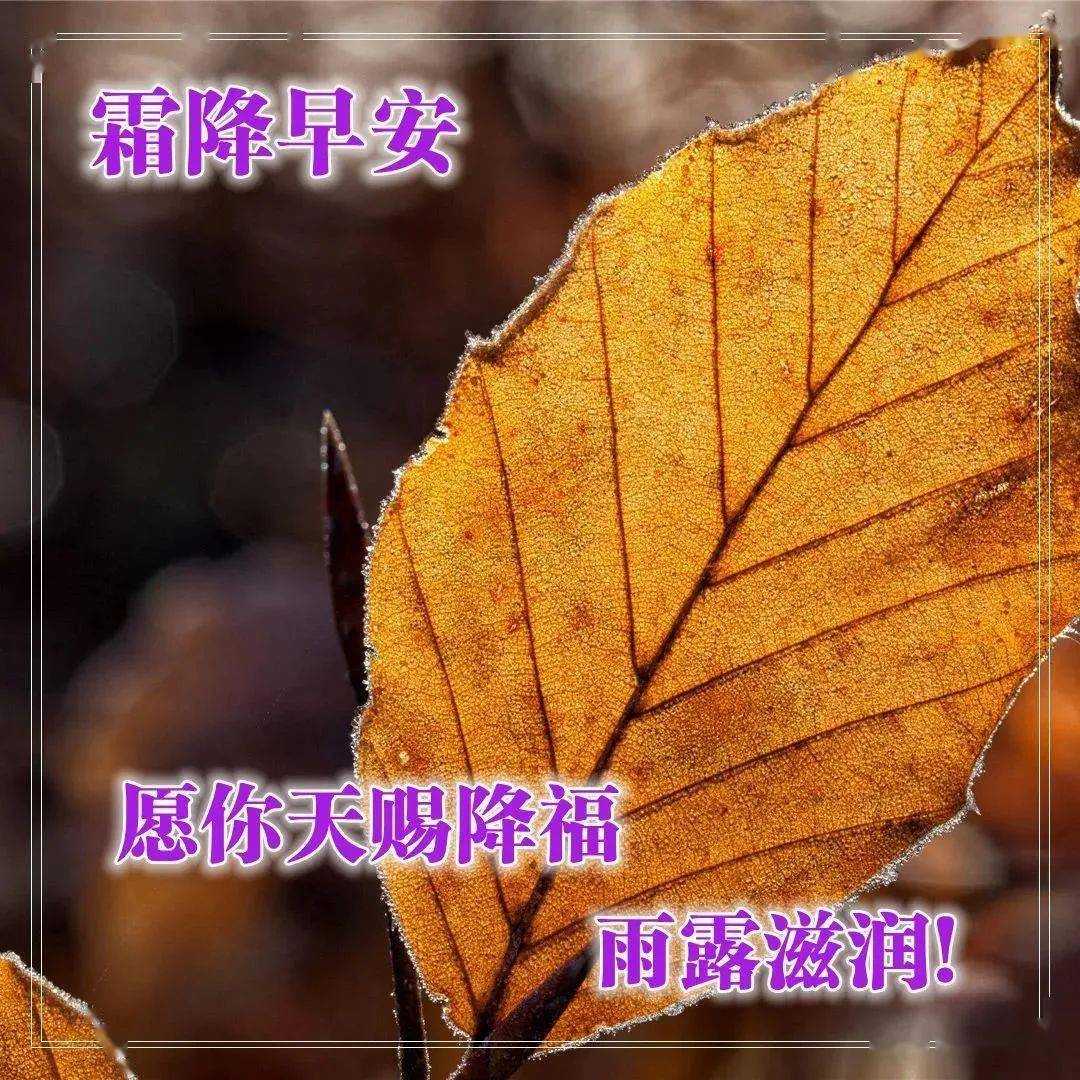 最美霜降早上好问候语阳光句子,早上好祝福语带图