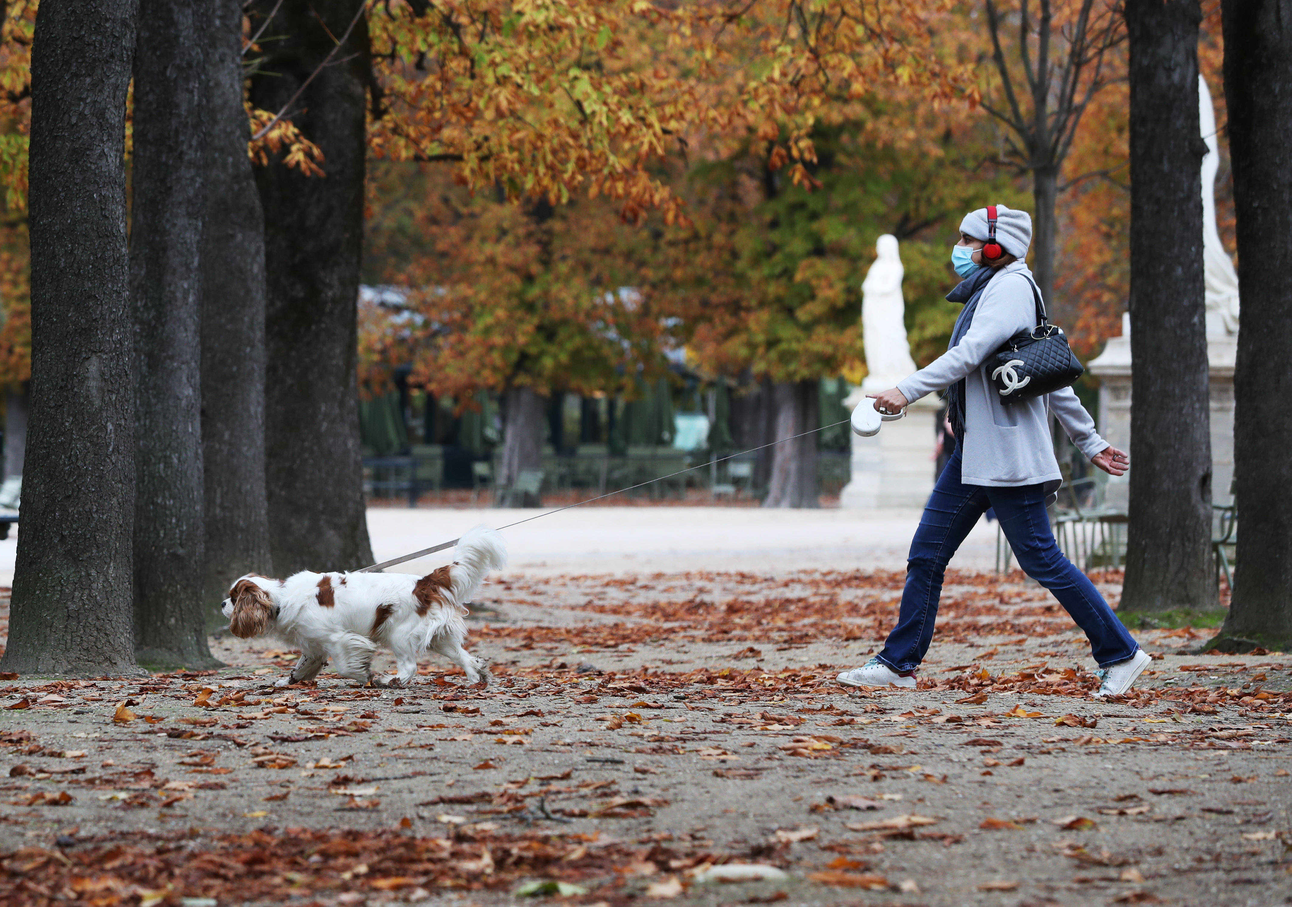 10月23日,一名女子在法国巴黎卢森堡公园遛狗返回搜狐,查看更多