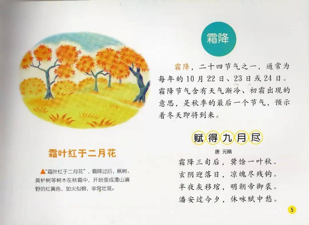 小禾苗绘悦读传统中国24节气绘本故事霜降