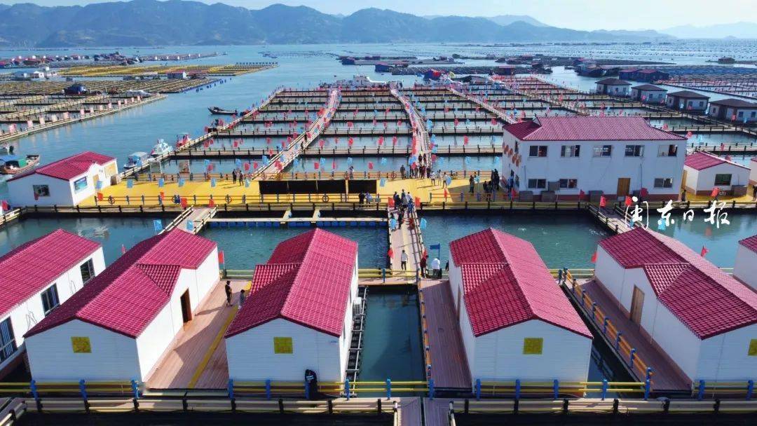 【青春诗会】听风七星:越过山和大海在这里追寻诗和远方!