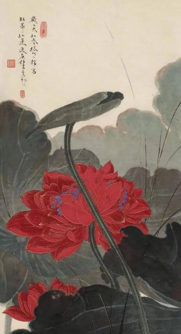 好美的一组荷花图