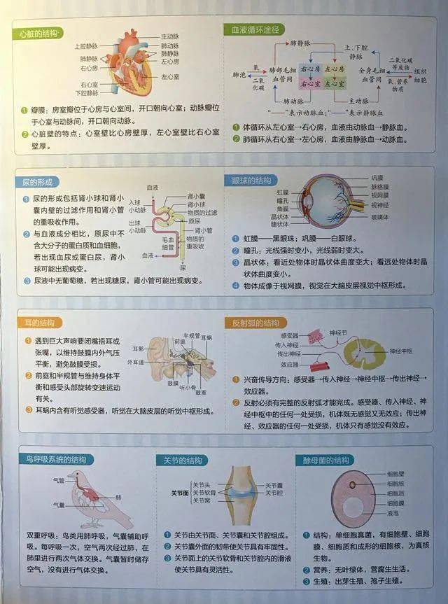 初中没学过生物，高中建议选吗?(初中没学生物,高中学还来的及吗?)-第2张图片-鲸幼网