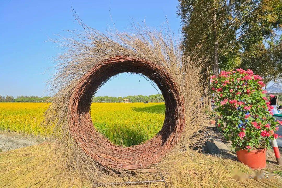 八仙桌边听歌,望田集市淘宝,松江浦南这样经营田园风光……_民间艺术