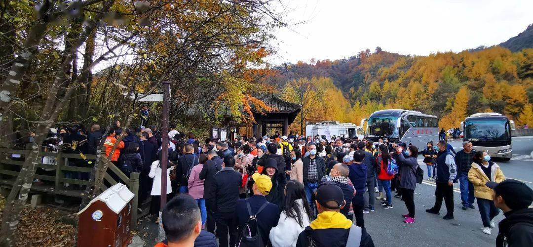 红叶枫了游人如织周末版光雾山人人人
