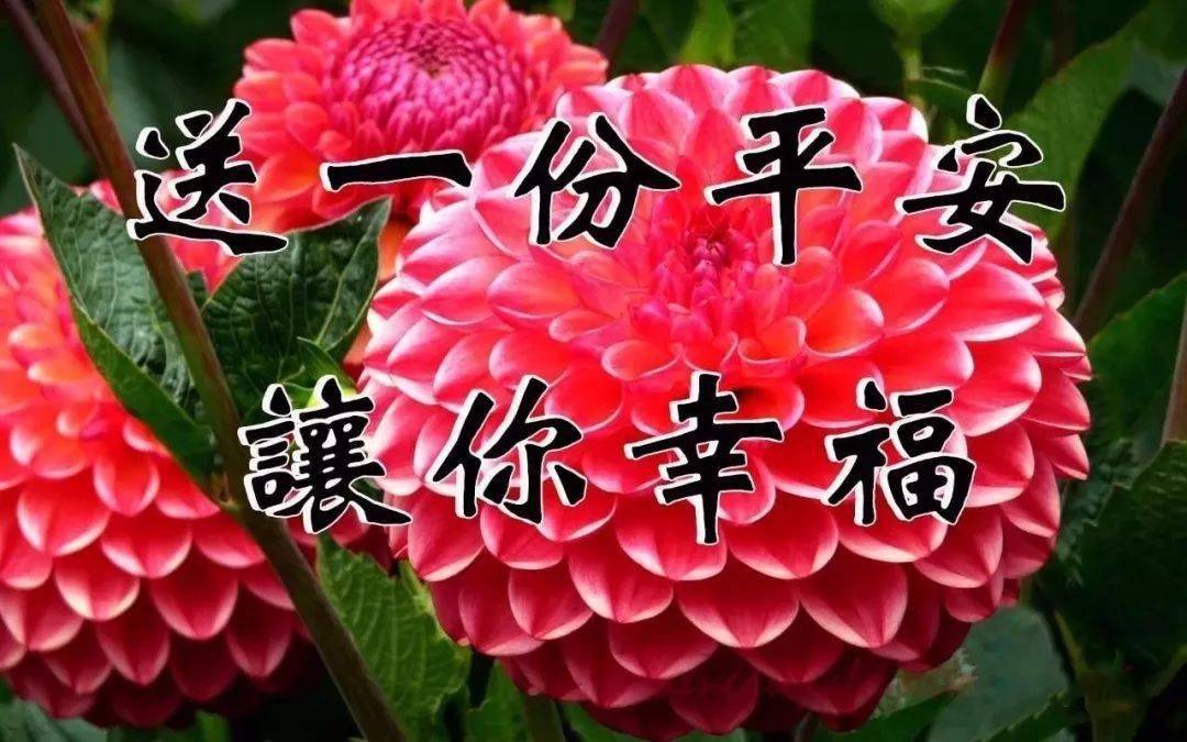 九九重阳节,愿你幸福九九,好运九九,重阳节快乐!_祝福