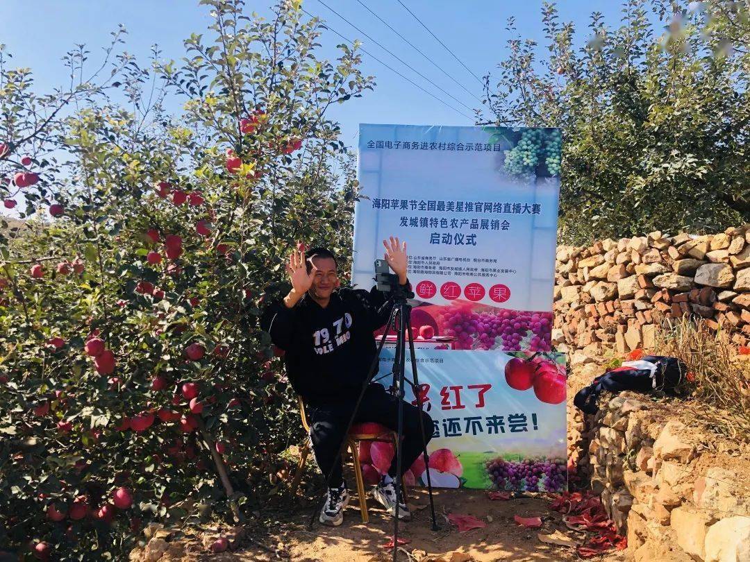 网店代运营市场的风云变幻