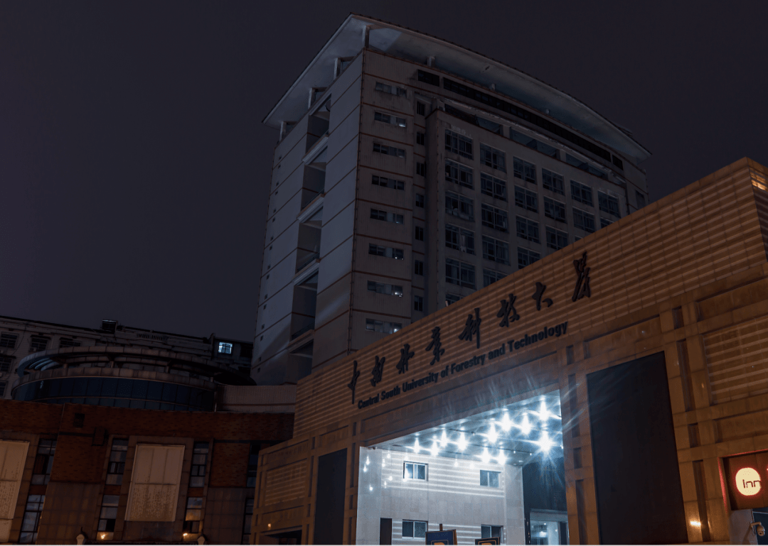 视觉中南林林科大的夜