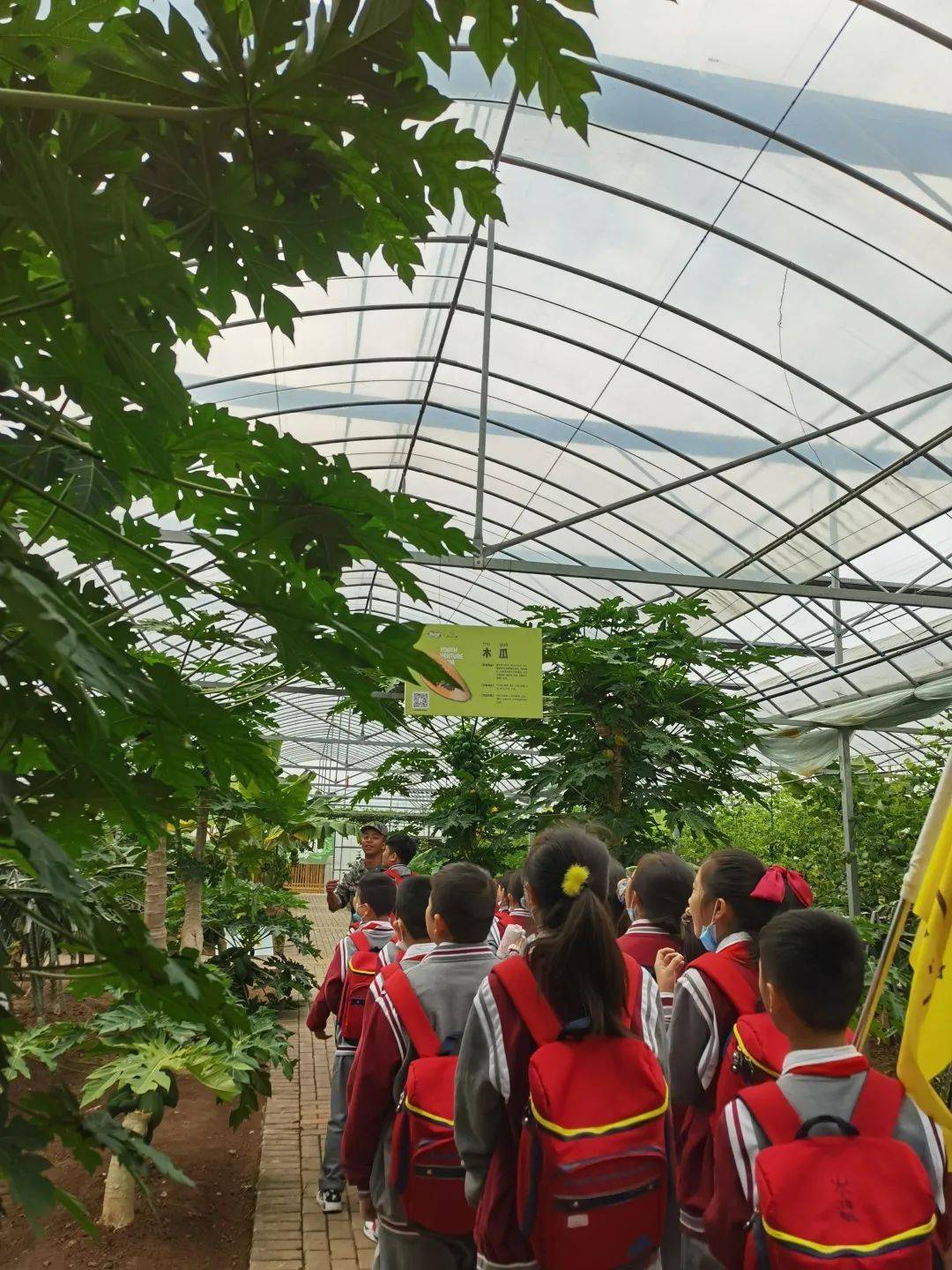 踏一路秋风撒一路欢笑记义乌复旦实验学校五年级森山小镇研学活动