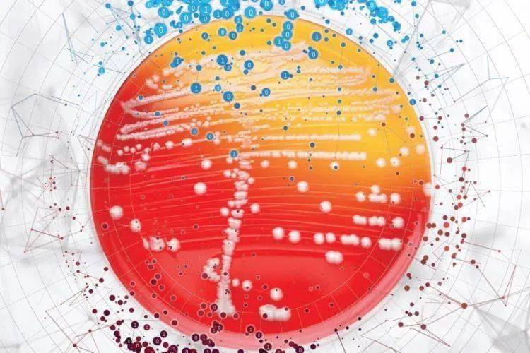 患者|败血症观察AI在杜克大学医院大获成功, 技术与社会融合需要信任与探索