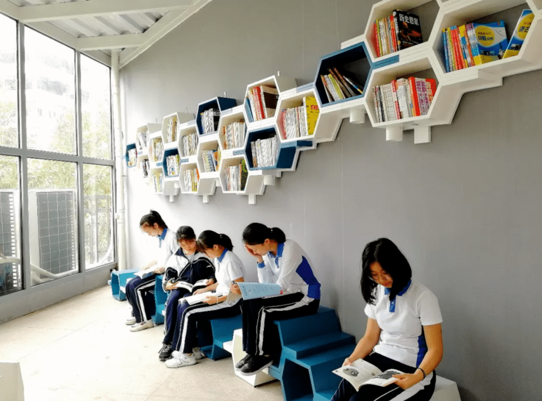 小而美的育才中学是你的菜吗超全育才中学中考情报