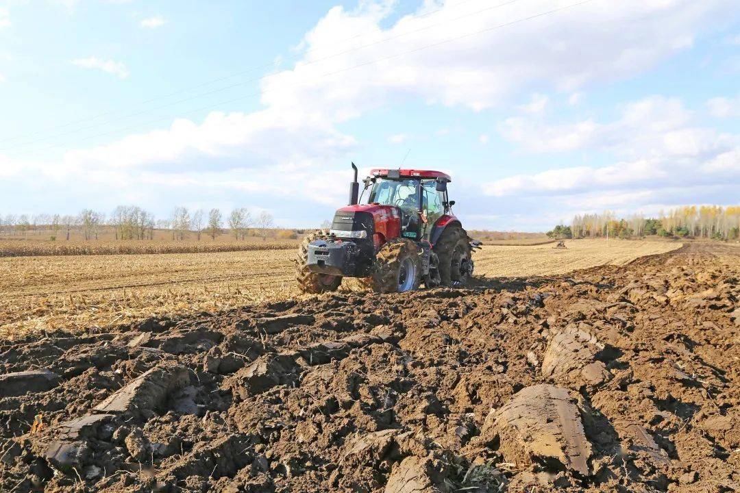北大荒集团哈尔滨有限公司秸秆还田培肥地力助增收